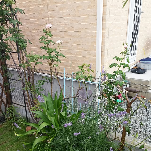 milkさんの実例写真