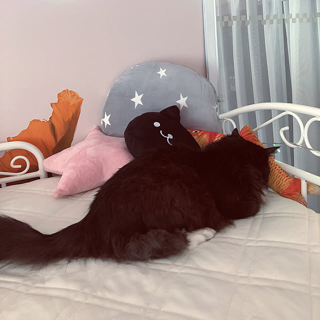 kanaさんの実例写真
