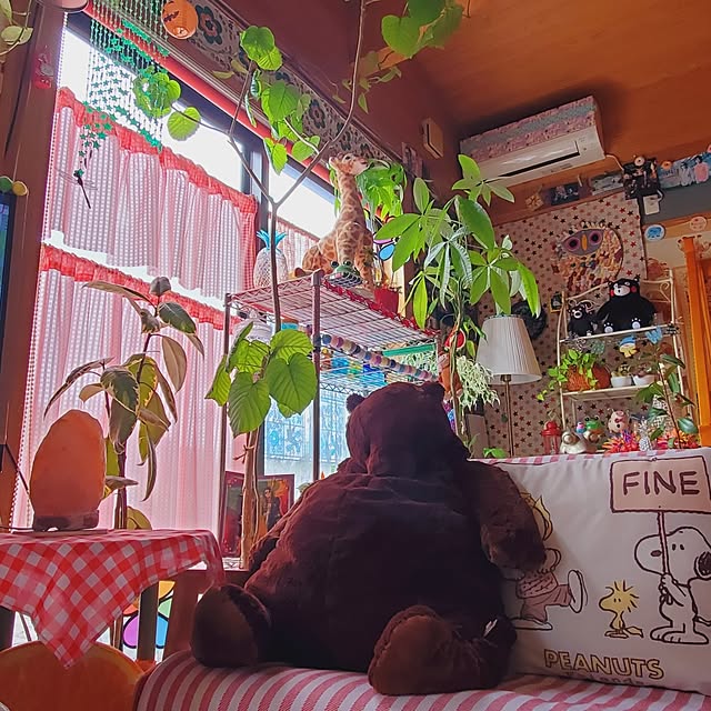 kumutanさんの部屋