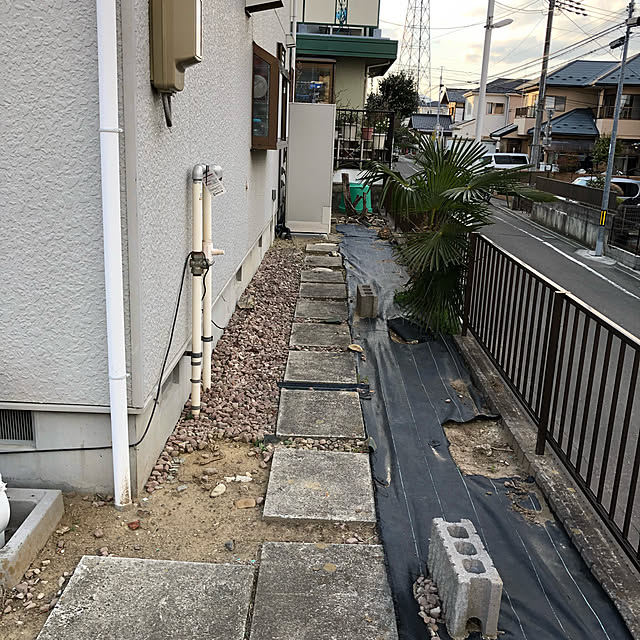 実例写真