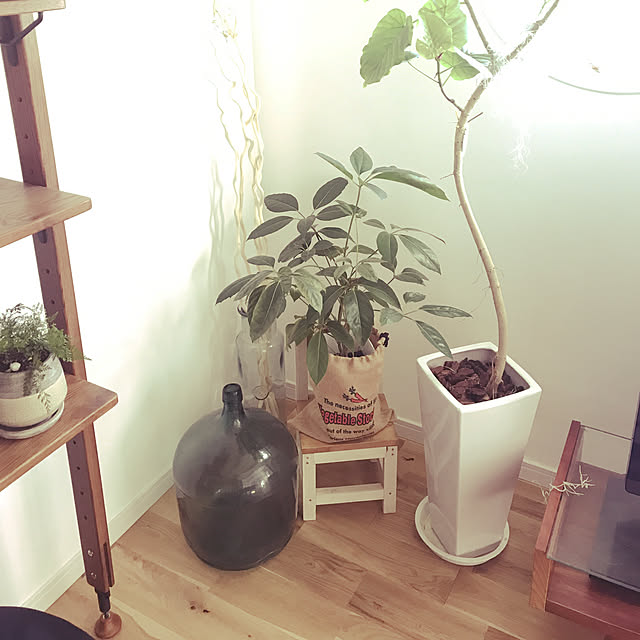 MiRiderさんの実例写真