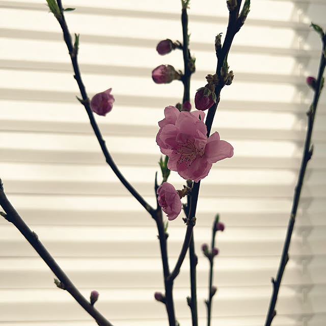 harukoさんの部屋