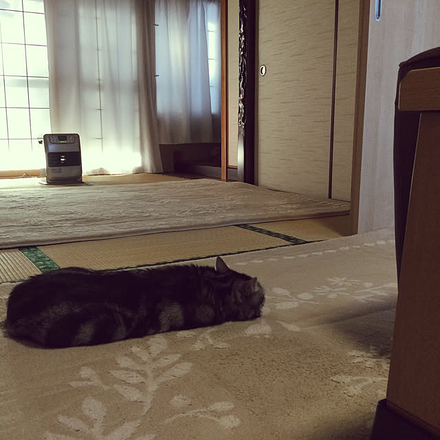 richanさんの実例写真