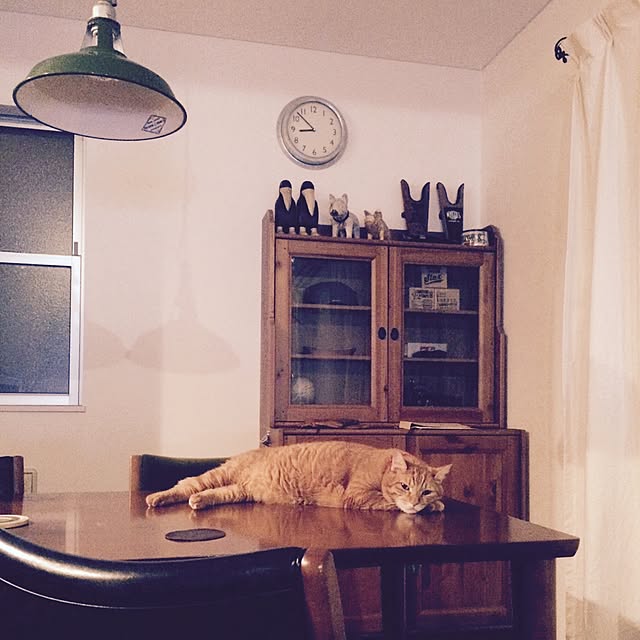 hiroleokunさんの実例写真