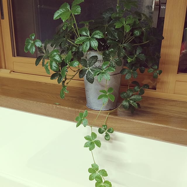 yodamyuさんの実例写真