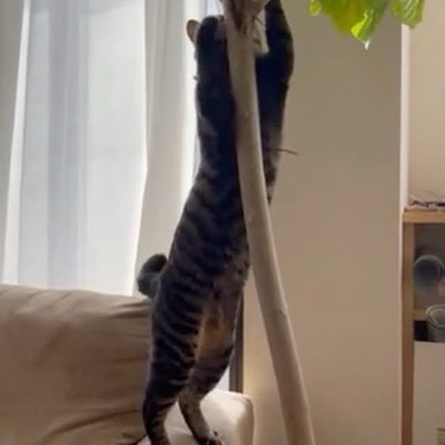 mさんの部屋