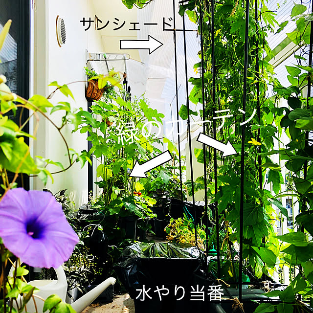 NAOさんの実例写真