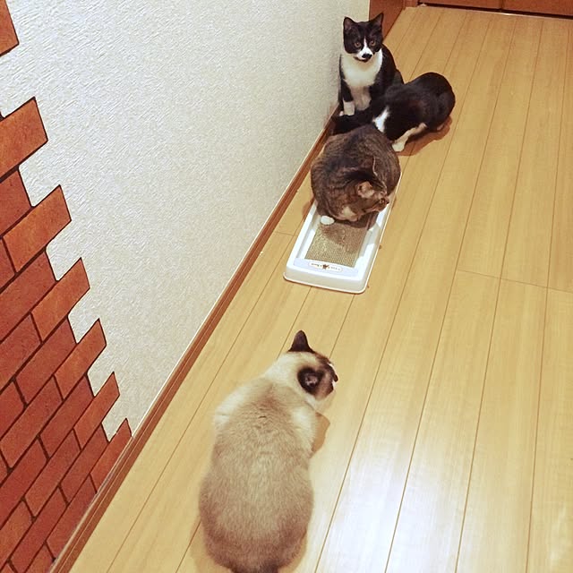 mari23さんの実例写真
