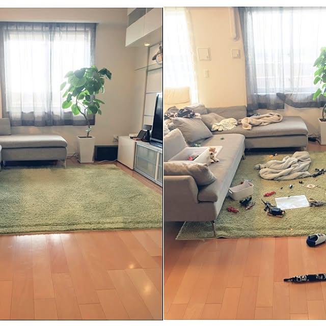 ffgreenさんの実例写真