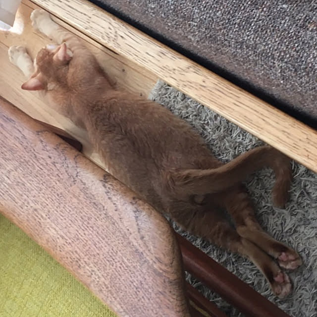 Hisashiさんの実例写真