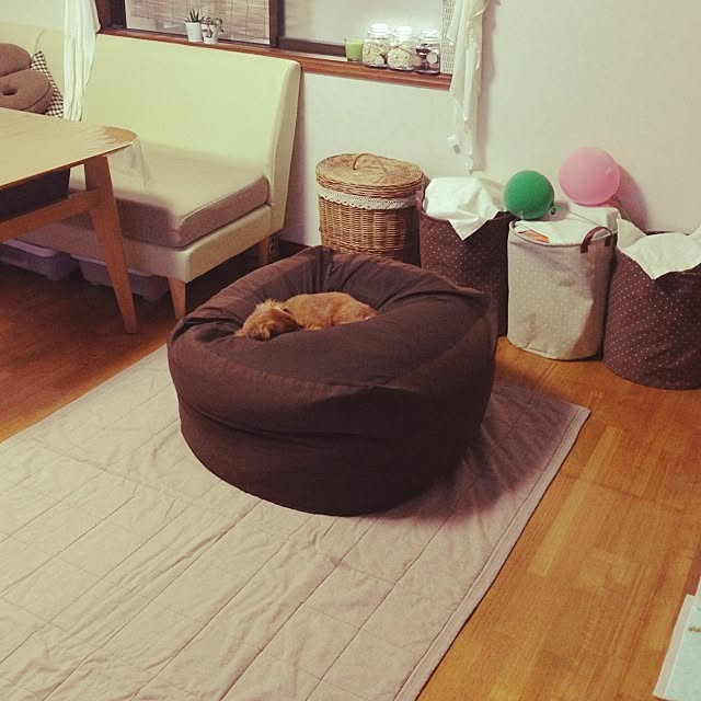 sachieさんの実例写真