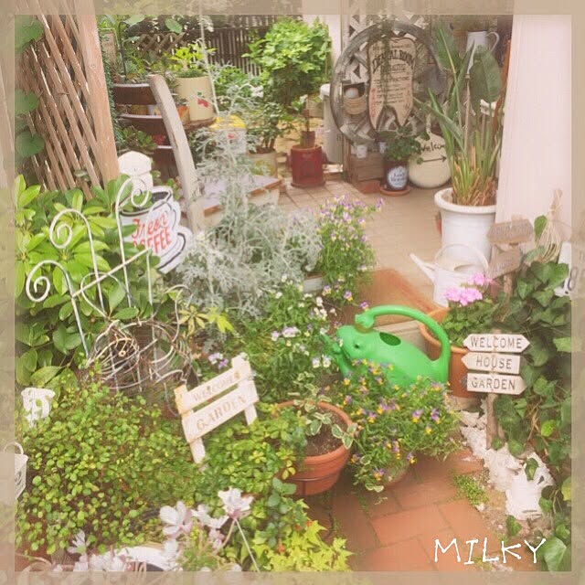 milkyさんの実例写真