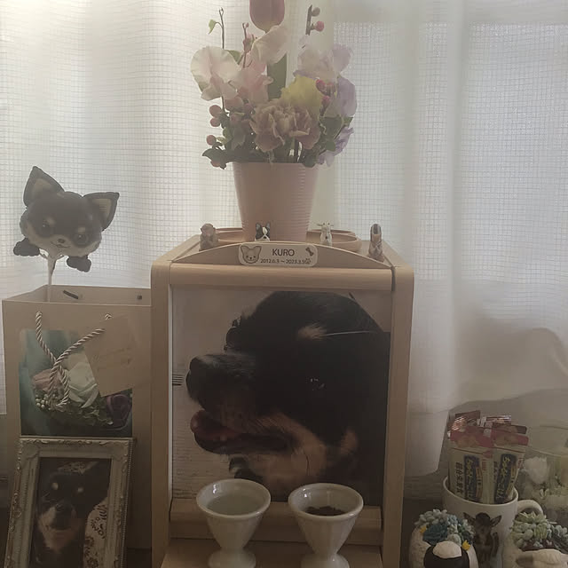 sakuさんの実例写真