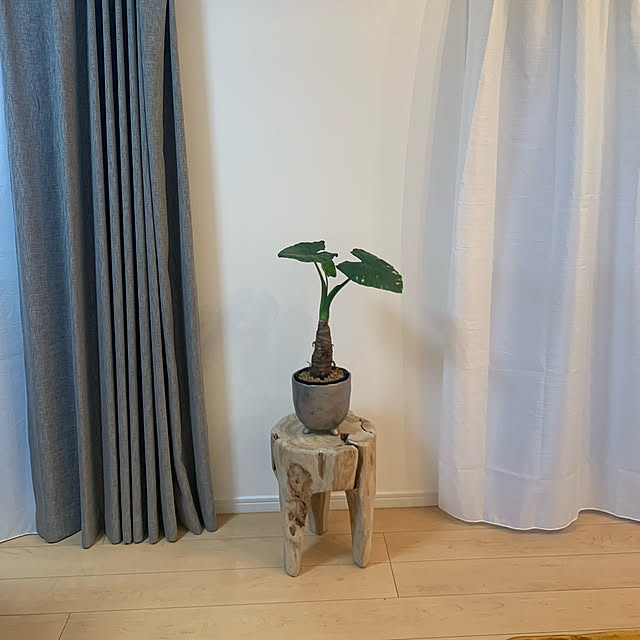 maemaeさんの実例写真