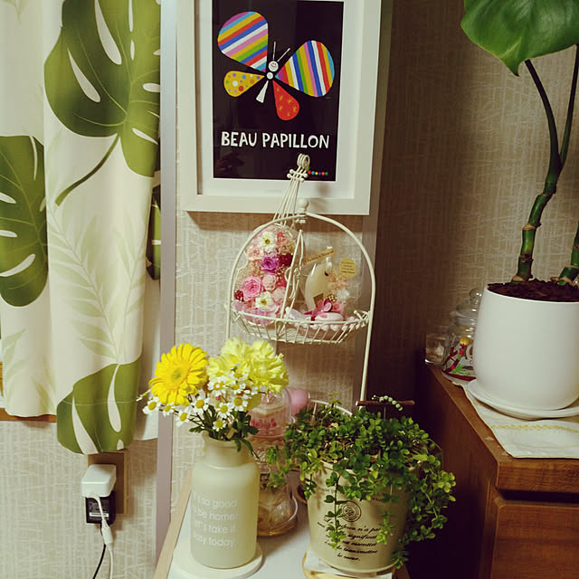 mymさんの実例写真
