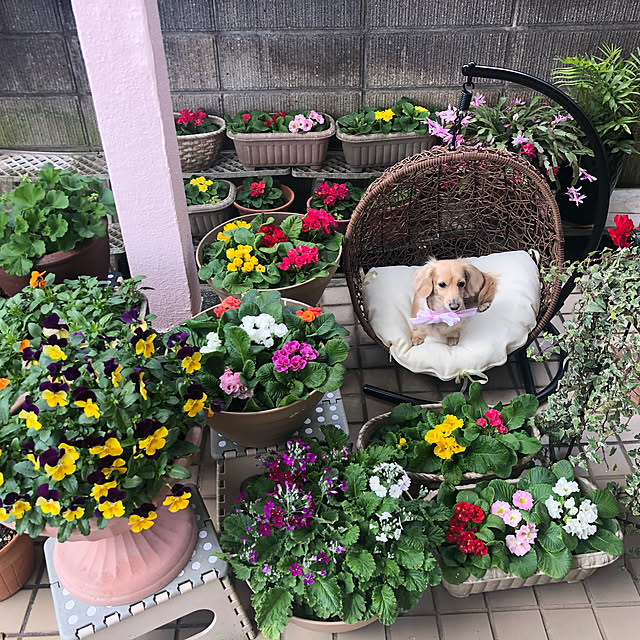 ayakoさんの実例写真