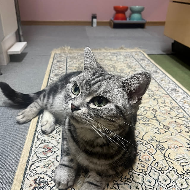 Kintaroさんの実例写真
