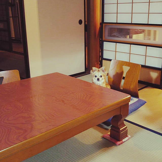 himawariさんの実例写真