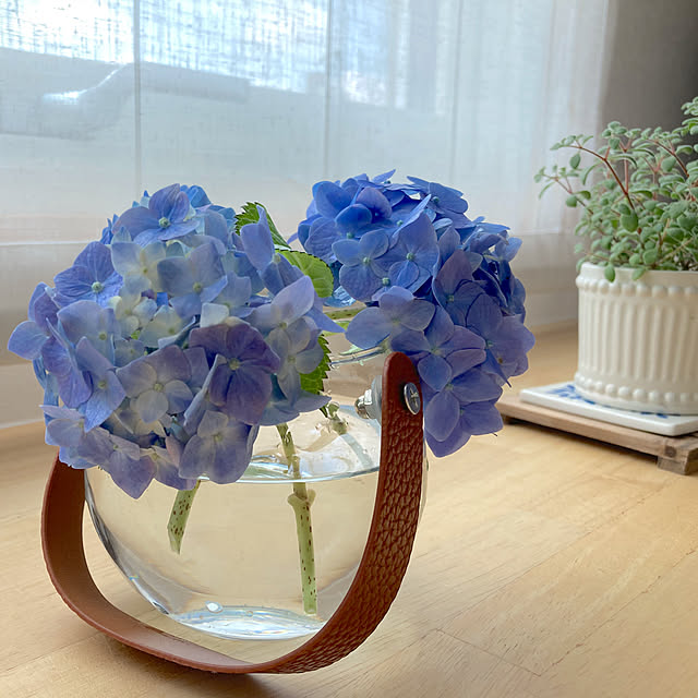 bestwishes.ryokoさんの実例写真