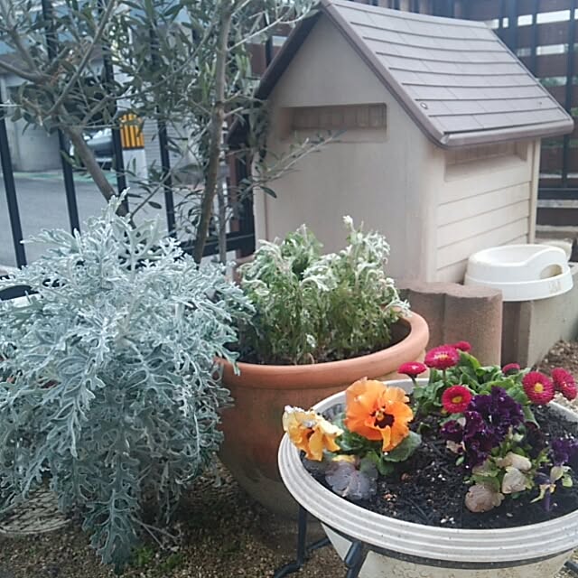 miiさんの実例写真