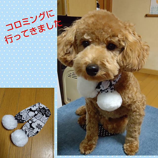 yumirinさんの実例写真