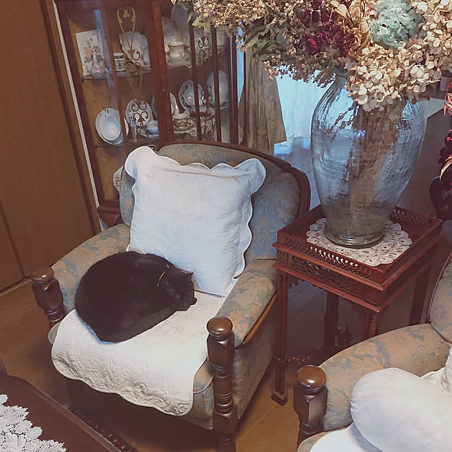 junkn6さんの実例写真