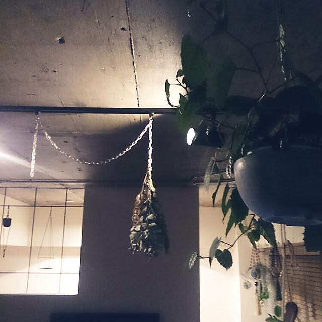 renarionさんの実例写真