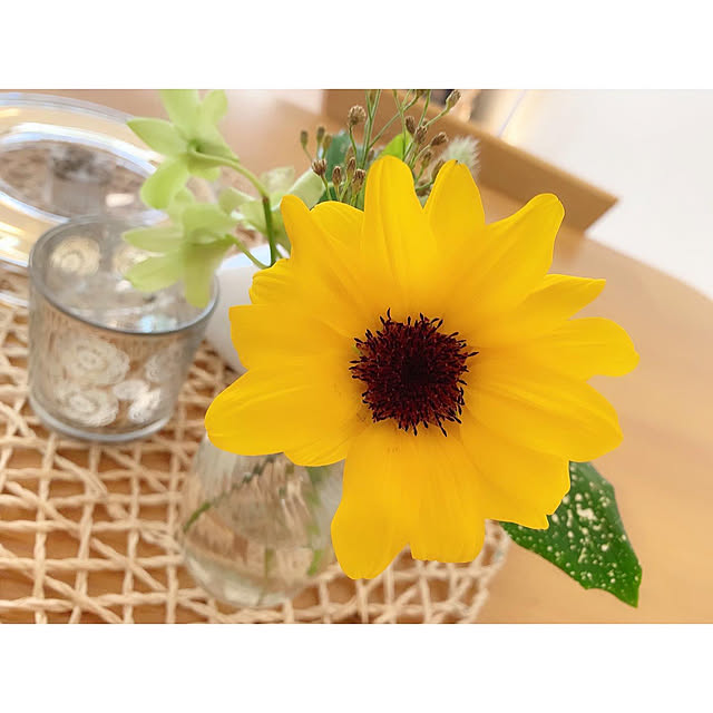 chaluさんの実例写真