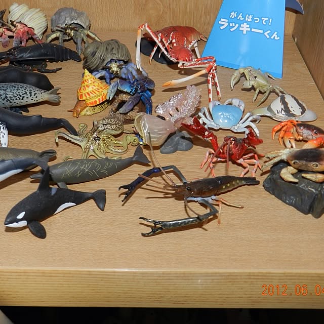 SapporoBillyさんの実例写真