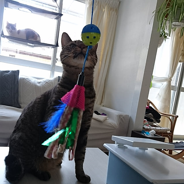 taleo07さんの実例写真