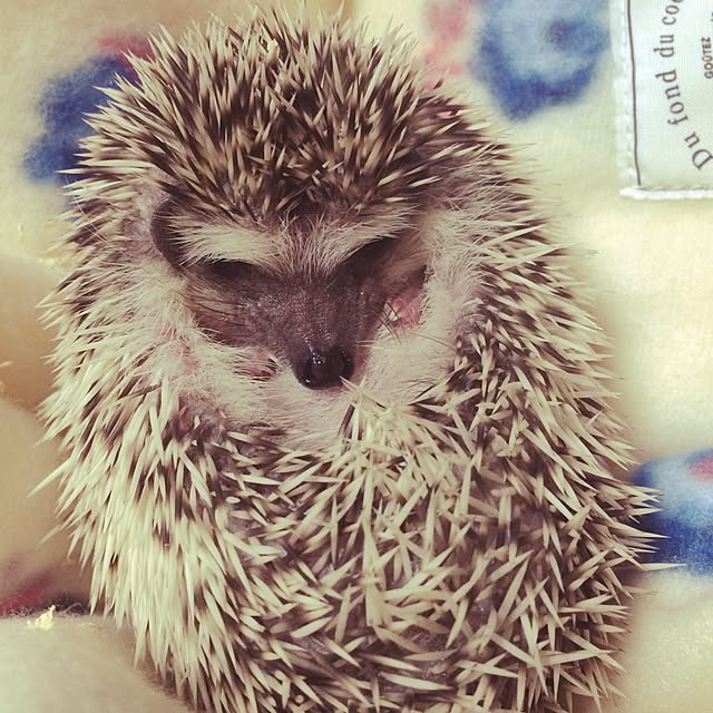 NaoMさんの実例写真