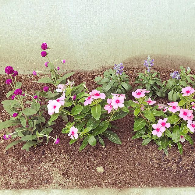 mi-naさんの実例写真