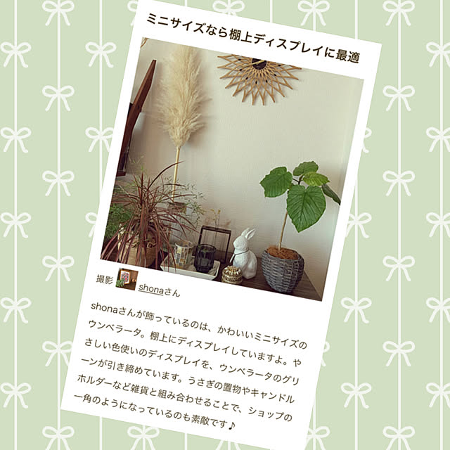 shonaさんの実例写真