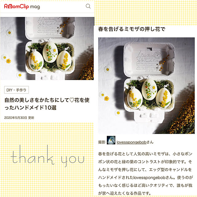 lovesspongebobさんの実例写真
