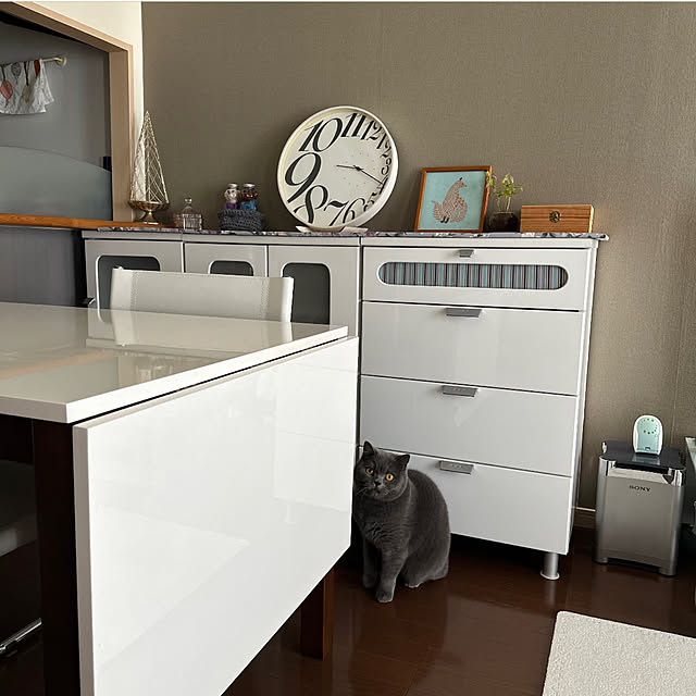 kittyさんの部屋