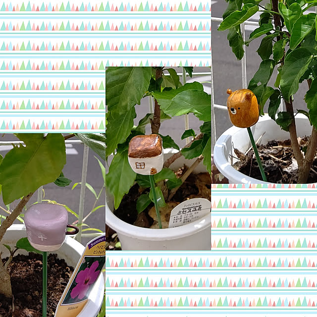 yumirinさんの実例写真