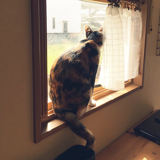 mayugonさんの実例写真
