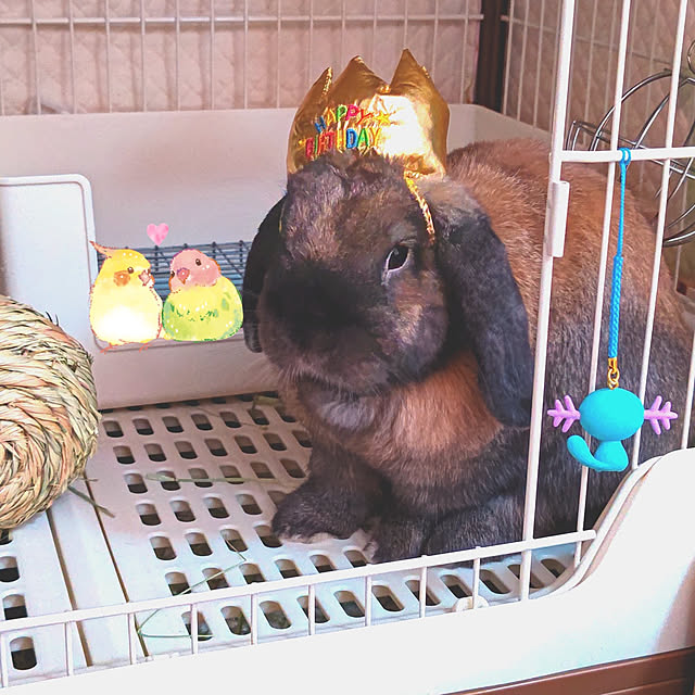 mariaさんの実例写真