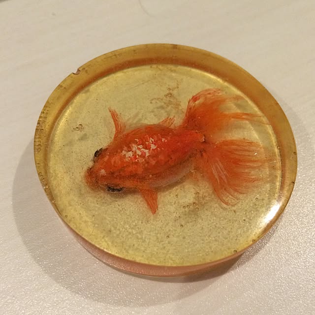 3838さんの実例写真