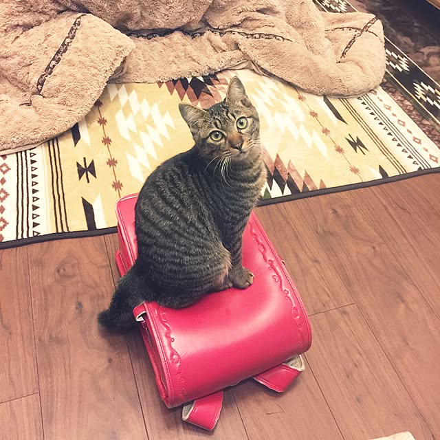 yumoさんの実例写真