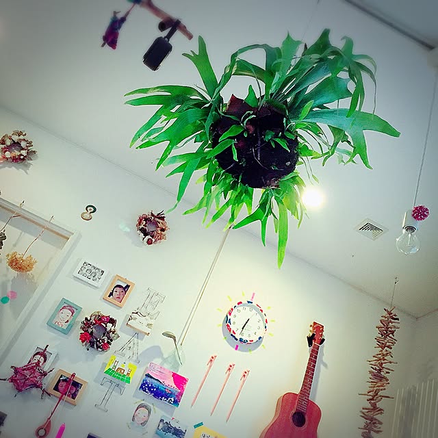 minomonさんの実例写真