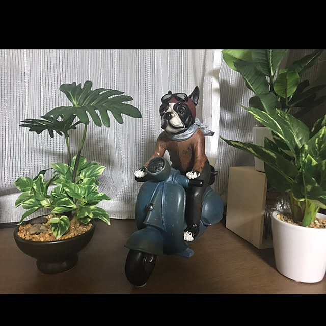 sotaさんの実例写真