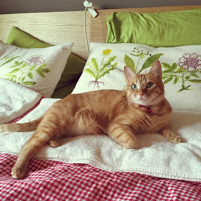 hanaさんの実例写真