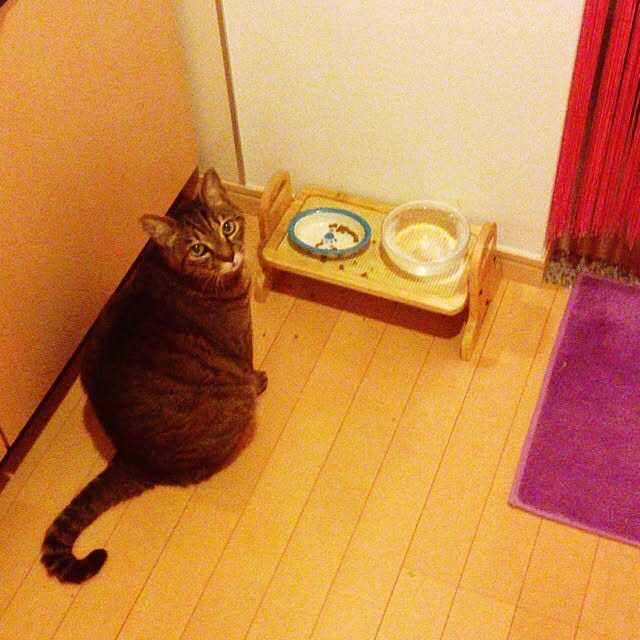 Shihoさんの実例写真