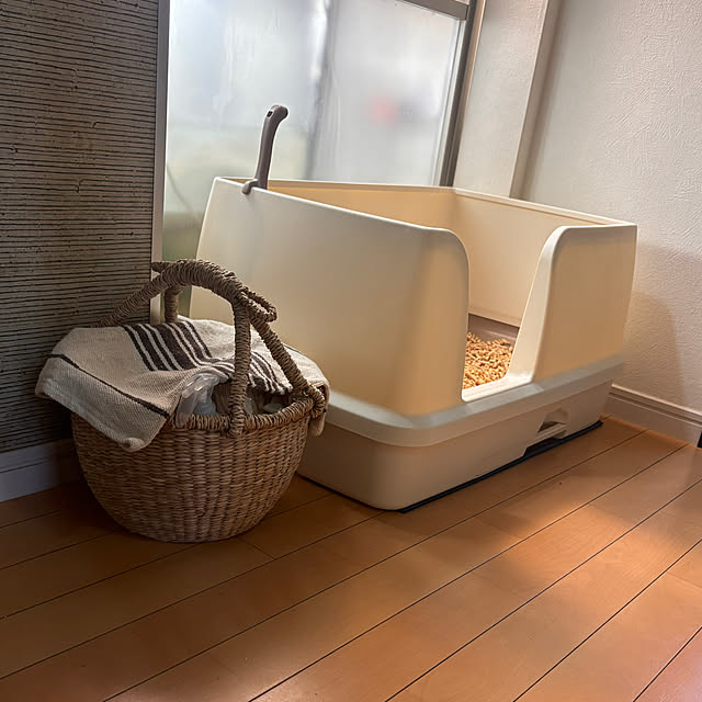 greycatsさんの部屋