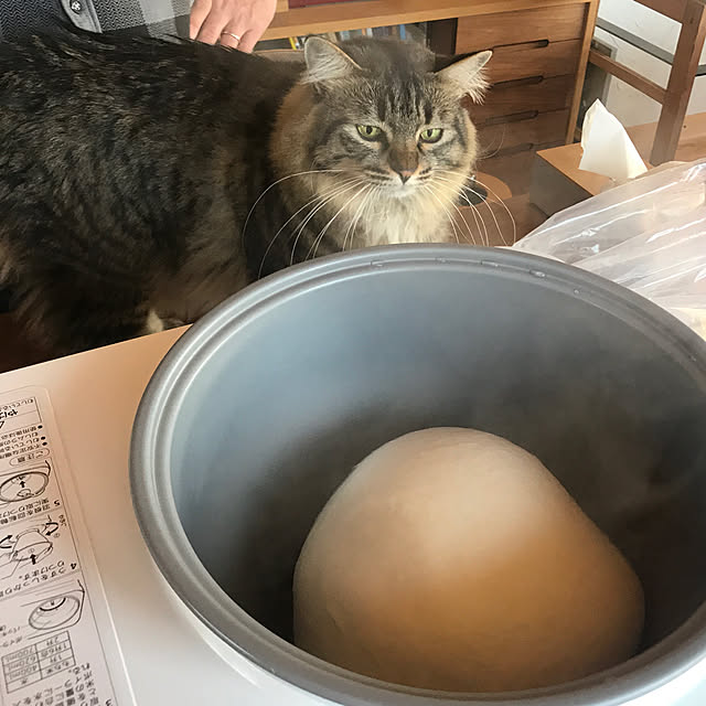 sakurasakuさんの実例写真