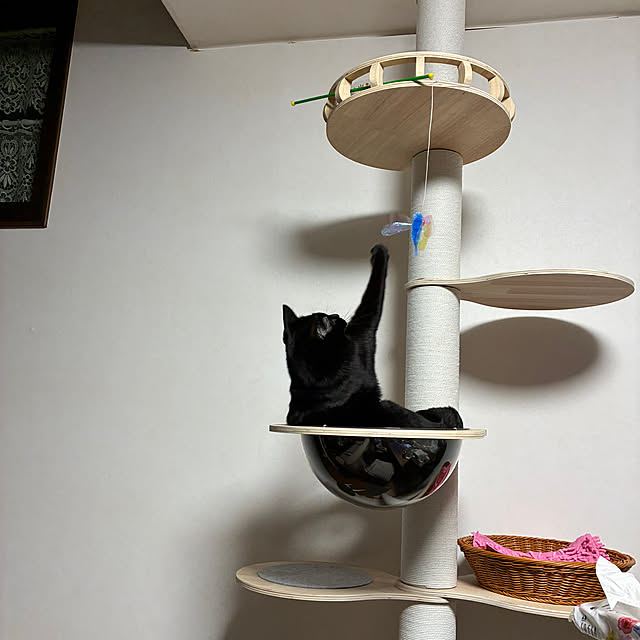 nannanさんの部屋