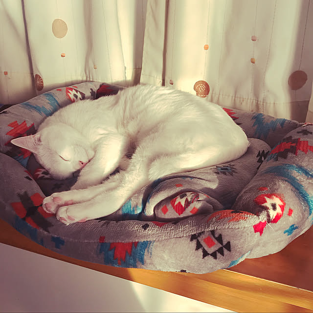 yuki48さんの実例写真