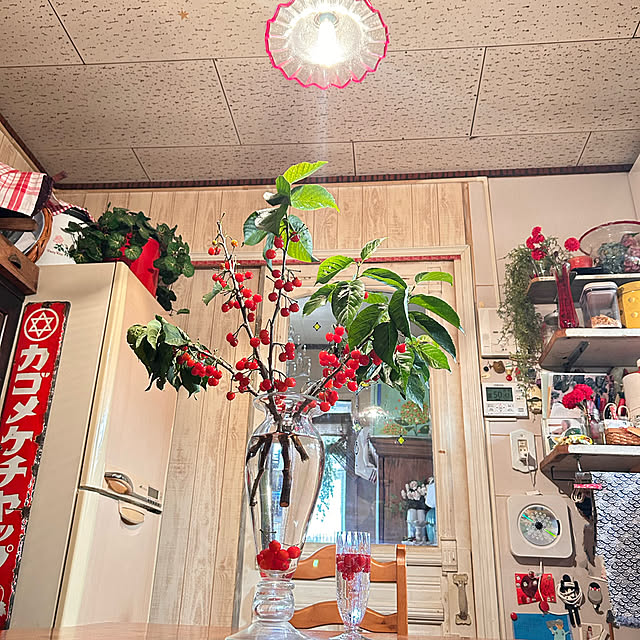 akaidarumaさんの実例写真