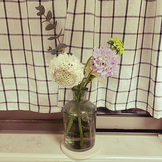 sucoriさんの実例写真